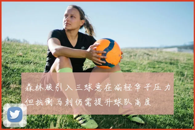 森林狼引入三球意在减轻华子压力但抗衡马刺仍需提升球队高度